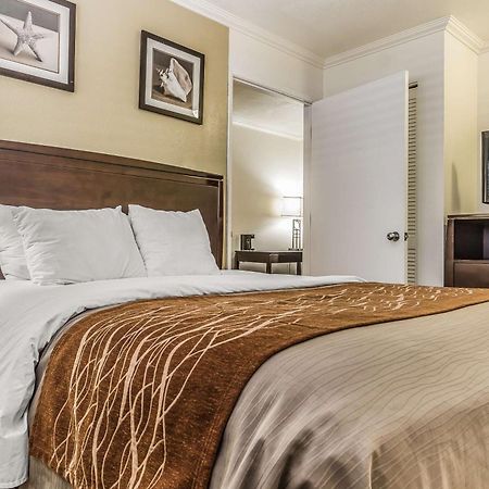Comfort Inn Santa Cruz Eksteriør bilde